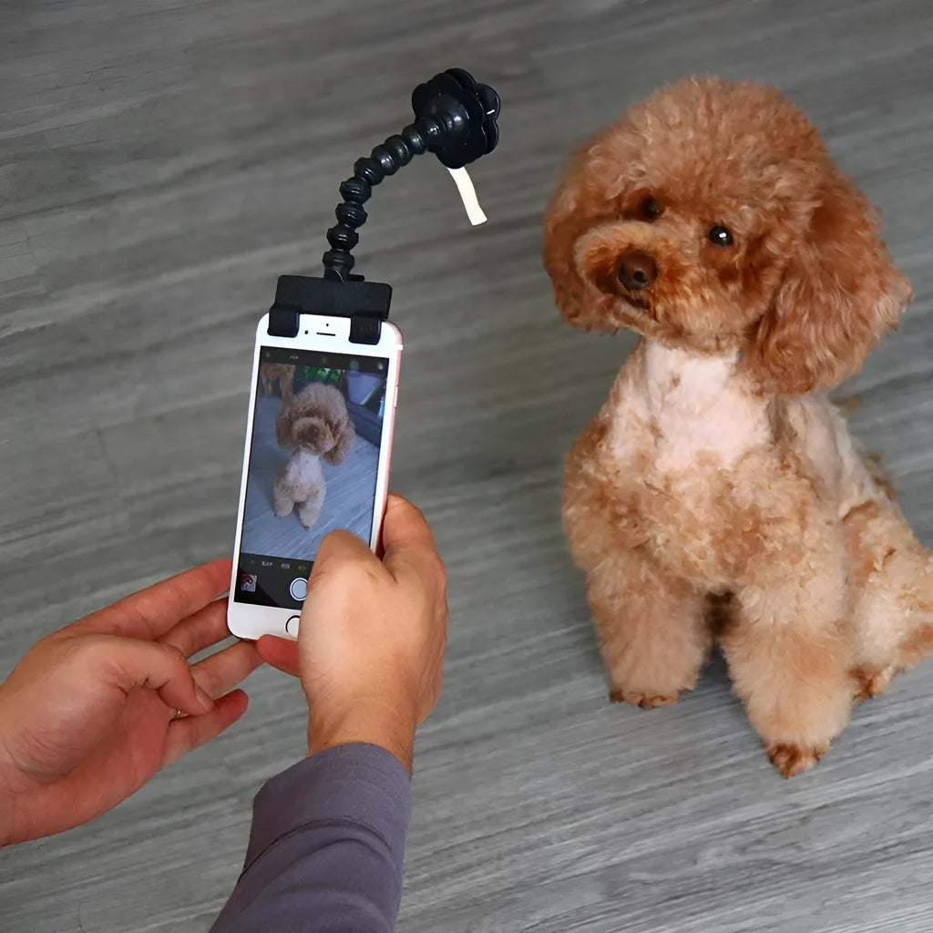 Pet selfie stick with retractable PVC pole and two detachable clips for hands-free photography