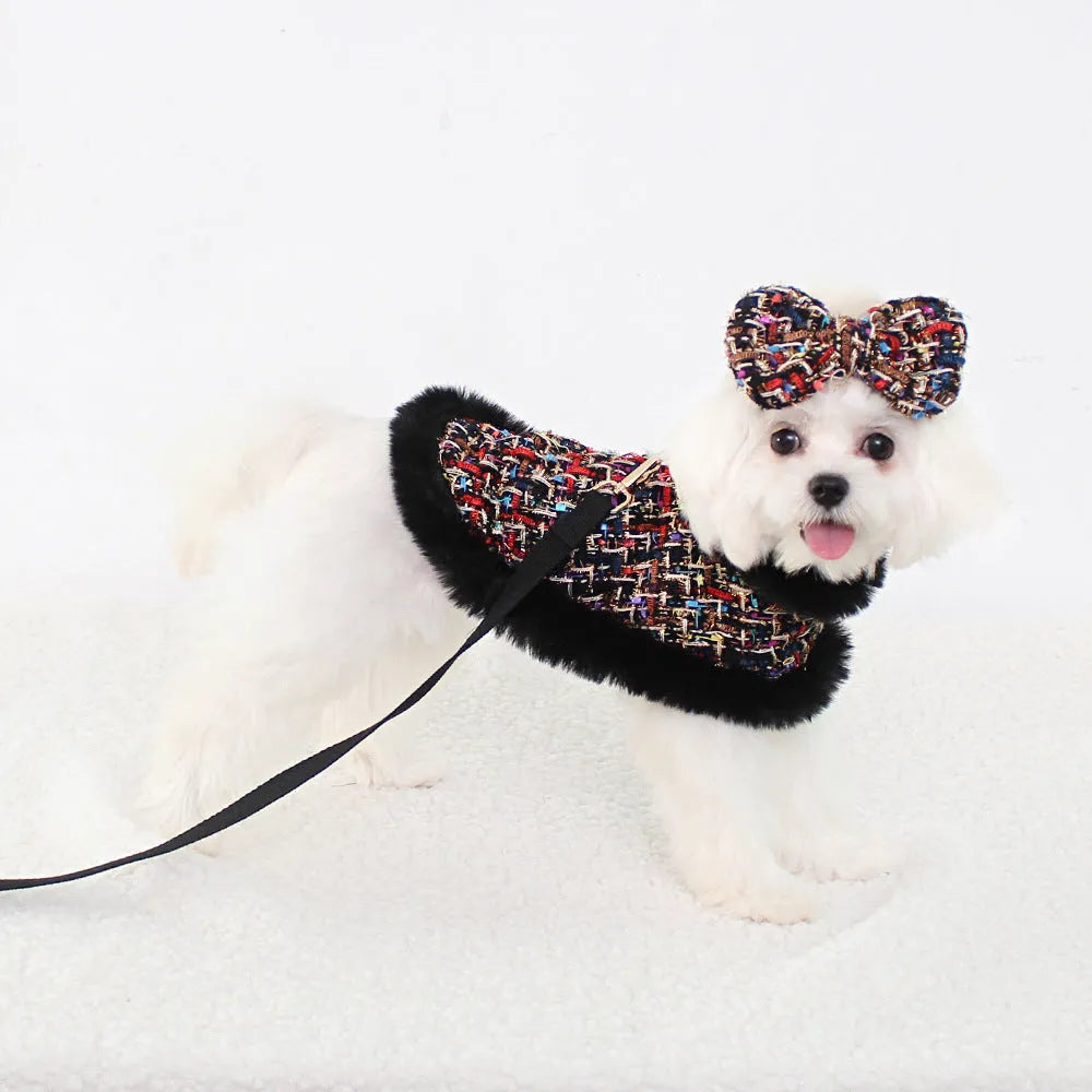 A dog wearing a classic-style cloth chest harness with an attached decorative cloak and integrated hand-holding rope.