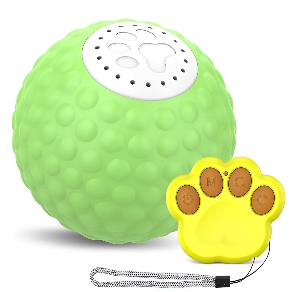 Remote control and colourful plastic rolling ball cat toy with sound on a wooden floor.