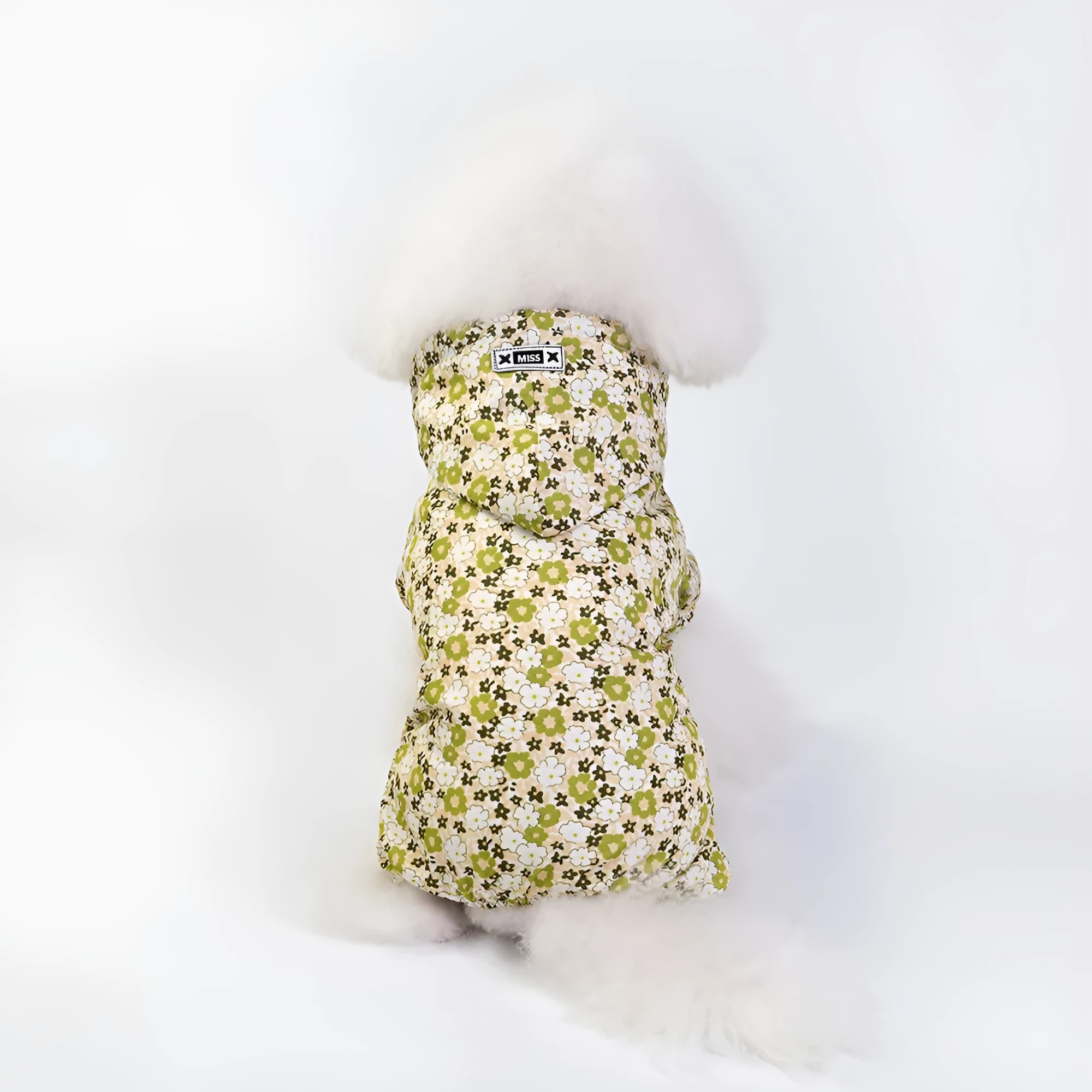 Waterproof dog raincoat in pink, four-legged jumpsuit style, on a small dog
