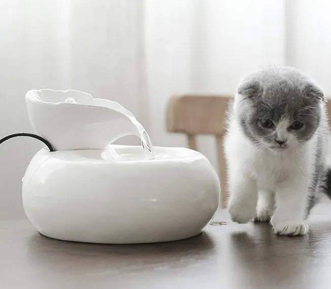 White ceramic automatic cat water dispenser with leaf-shaped bowl and pump