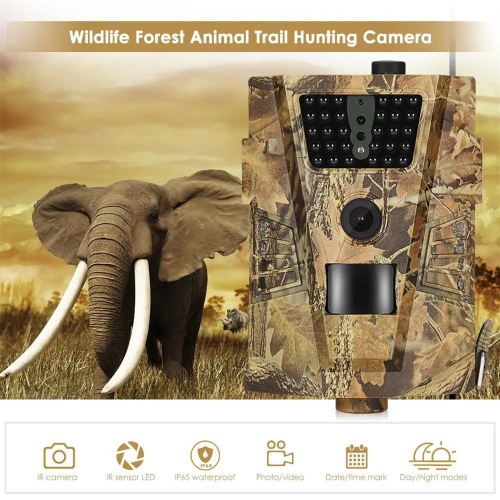 Orchard surveillance trail camera with night vision LEDs and PIR sensor for motion detection