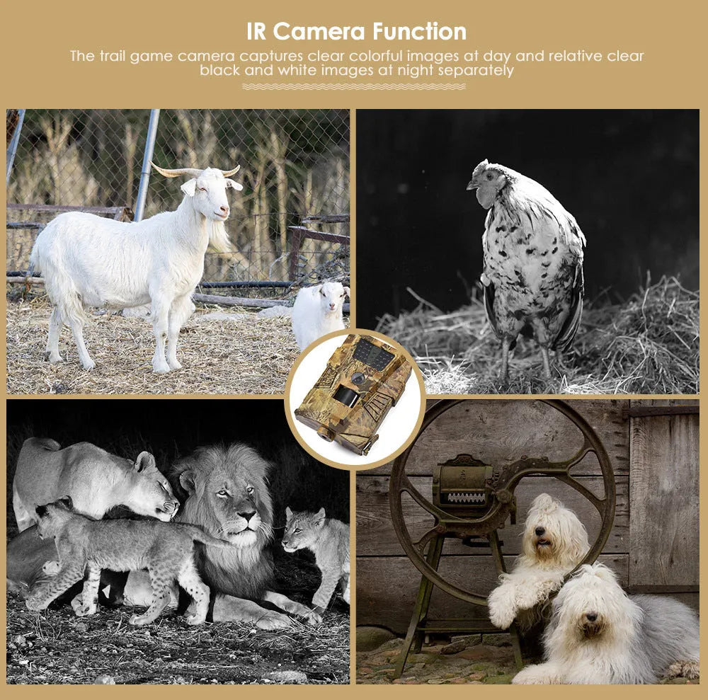 Orchard surveillance trail camera with night vision LEDs and PIR sensor for motion detection