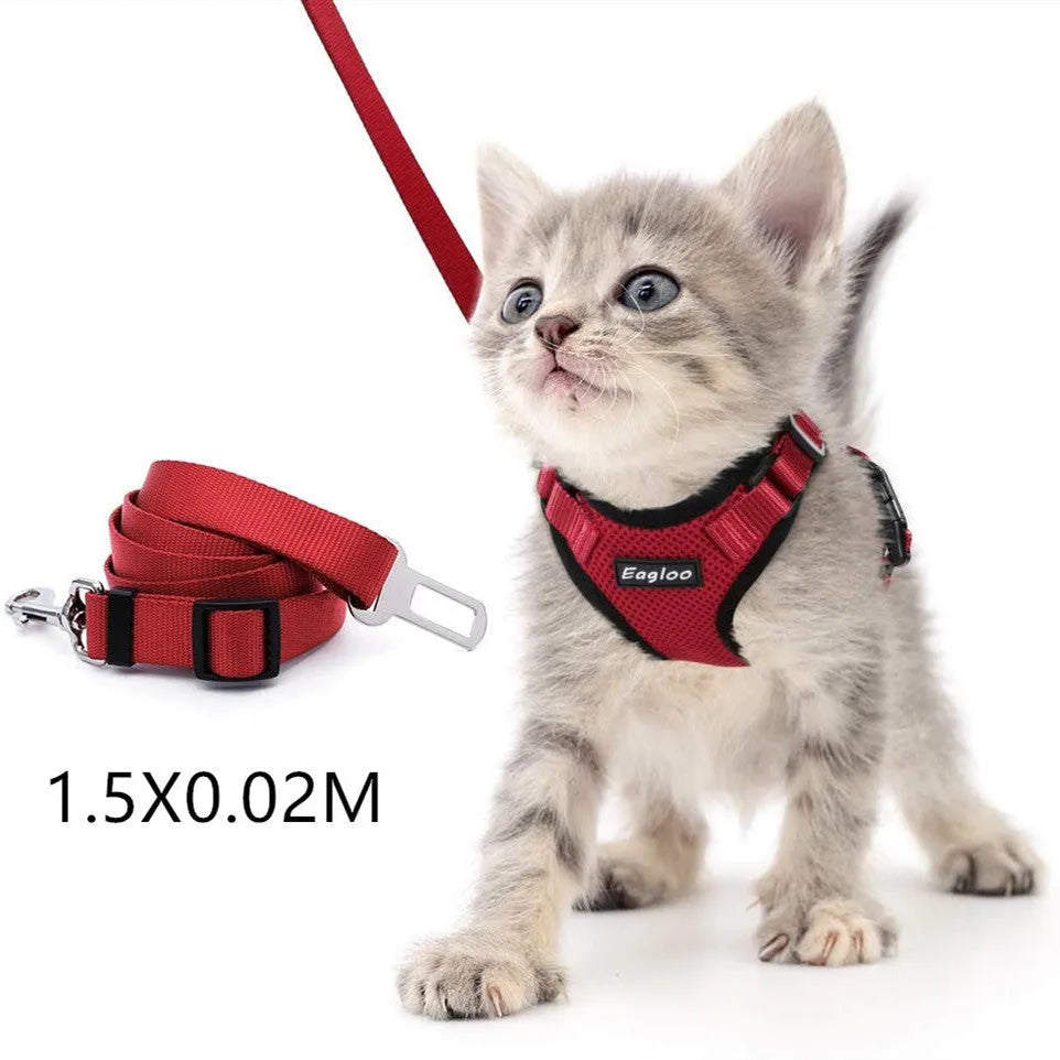 Escape proof reflective cat vest harness with car seat belt adapter for kittens