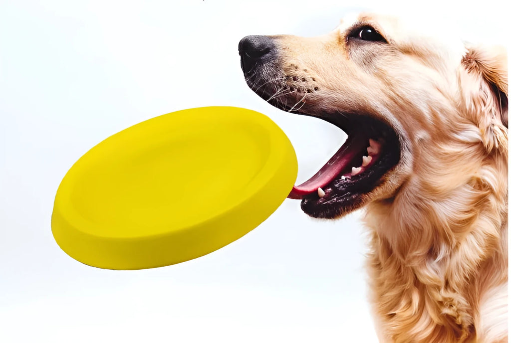 Bright yellow EVA plastic dog throwing toy weighing 70 grams for training and bonding games