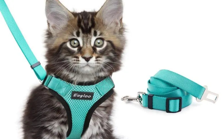 Escape proof reflective cat vest harness with car seat belt adapter for kittens
