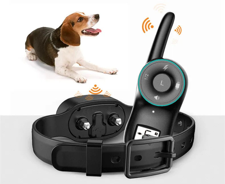 Waterproof rechargeable remote dog training collar with adjustable black or orange collar