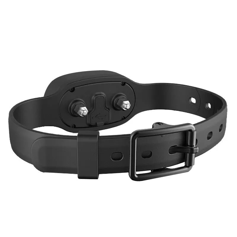 Waterproof rechargeable remote dog training collar with adjustable black or orange collar
