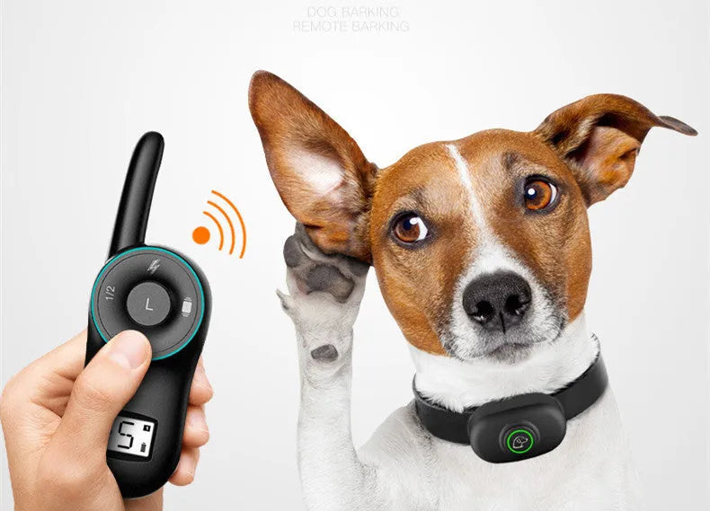 Waterproof rechargeable remote dog training collar with adjustable black or orange collar
