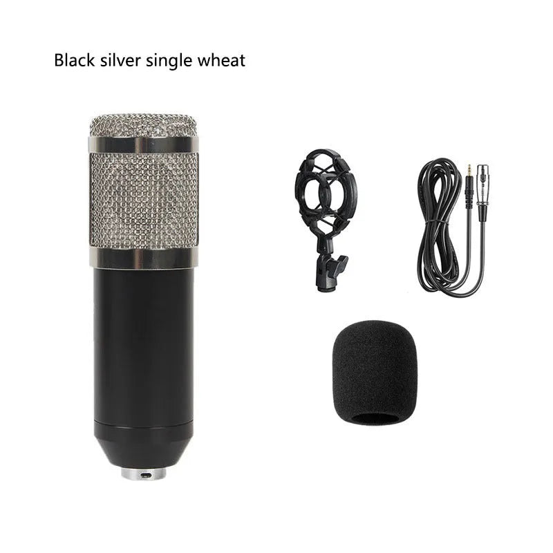 BM800 condenser microphone with V8 sound card, shock frame, pop filter, and adjustable mounting bracket