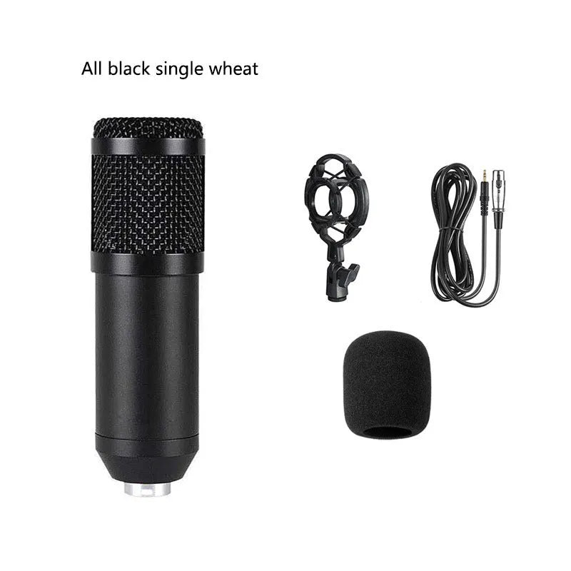 BM800 condenser microphone with V8 sound card, shock frame, pop filter, and adjustable mounting bracket