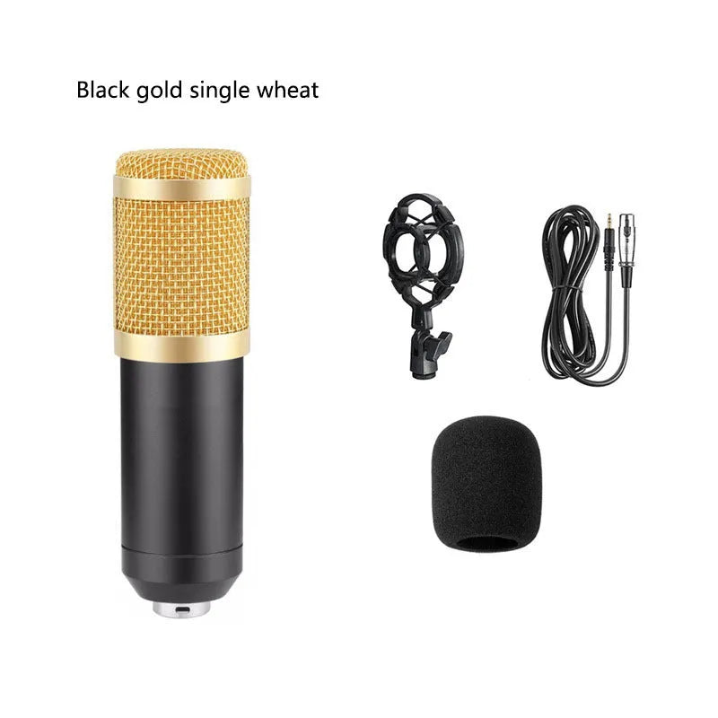 BM800 condenser microphone with V8 sound card, shock frame, pop filter, and adjustable mounting bracket