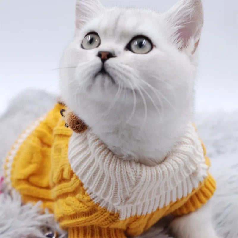 Classic knitted pet sweater for small dogs in a sweet pink colour with twist button fastening