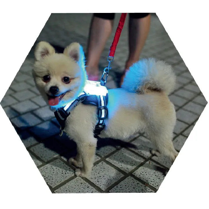 USB rechargeable LED silicone dog collar with seven colour modes for small to large breeds
