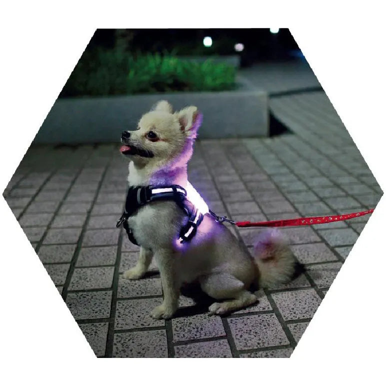 USB rechargeable LED silicone dog collar with seven colour modes for small to large breeds