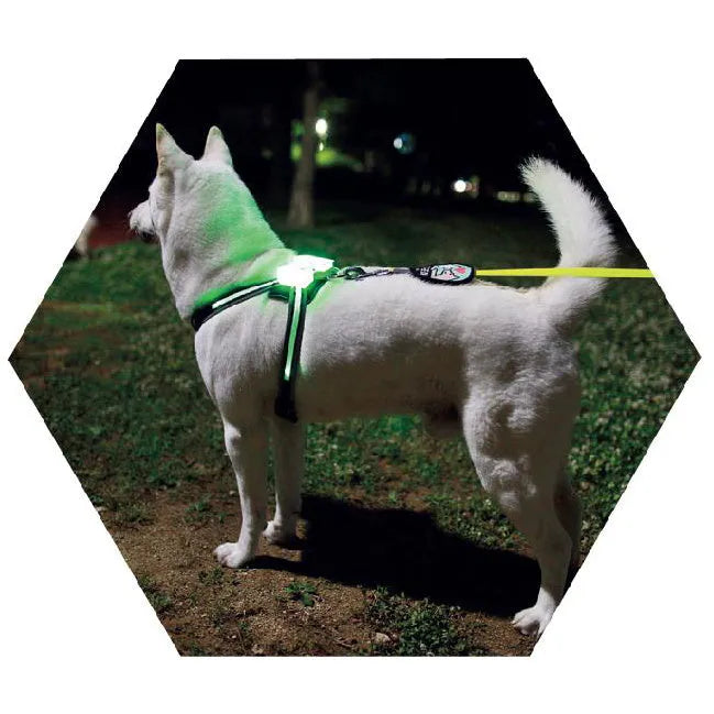 USB rechargeable LED silicone dog collar with seven colour modes for small to large breeds