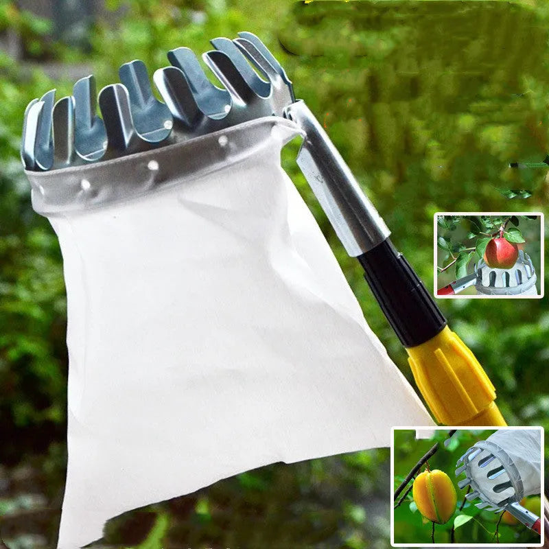 Fruit picker with steel frame and cloth bag catcher for harvesting tree fruit
