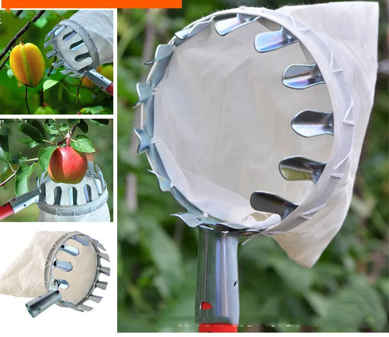 Fruit picker with steel frame and cloth bag catcher for harvesting tree fruit