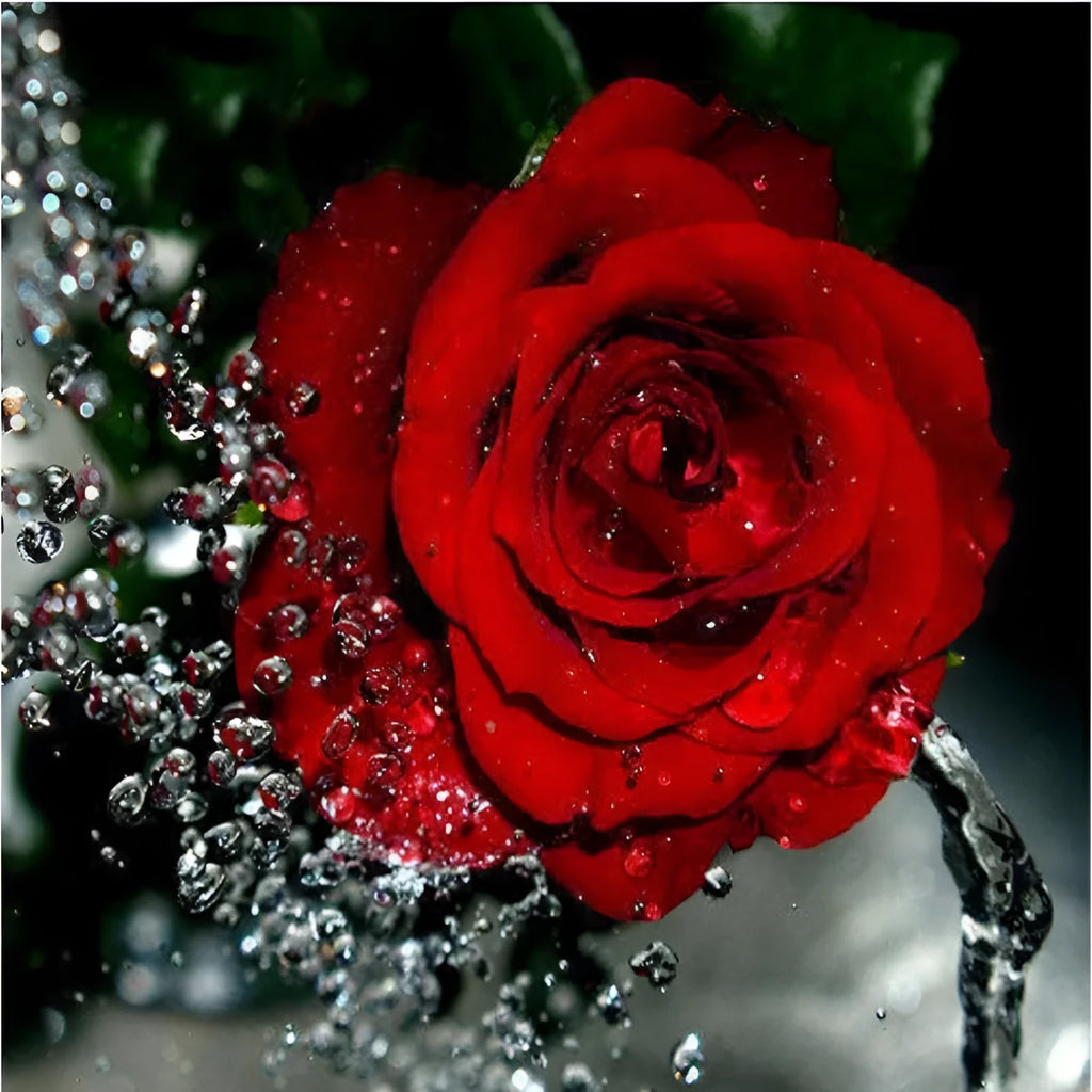 Hand-painted red rose oil painting on a frameless 40x50cm linen canvas for wall decoration.
