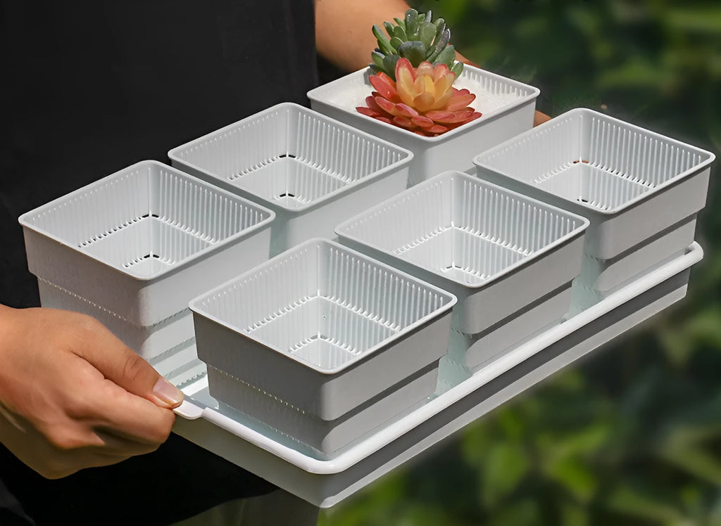 Black and white modular plastic flower pots and tray set for succulents and balcony gardening.