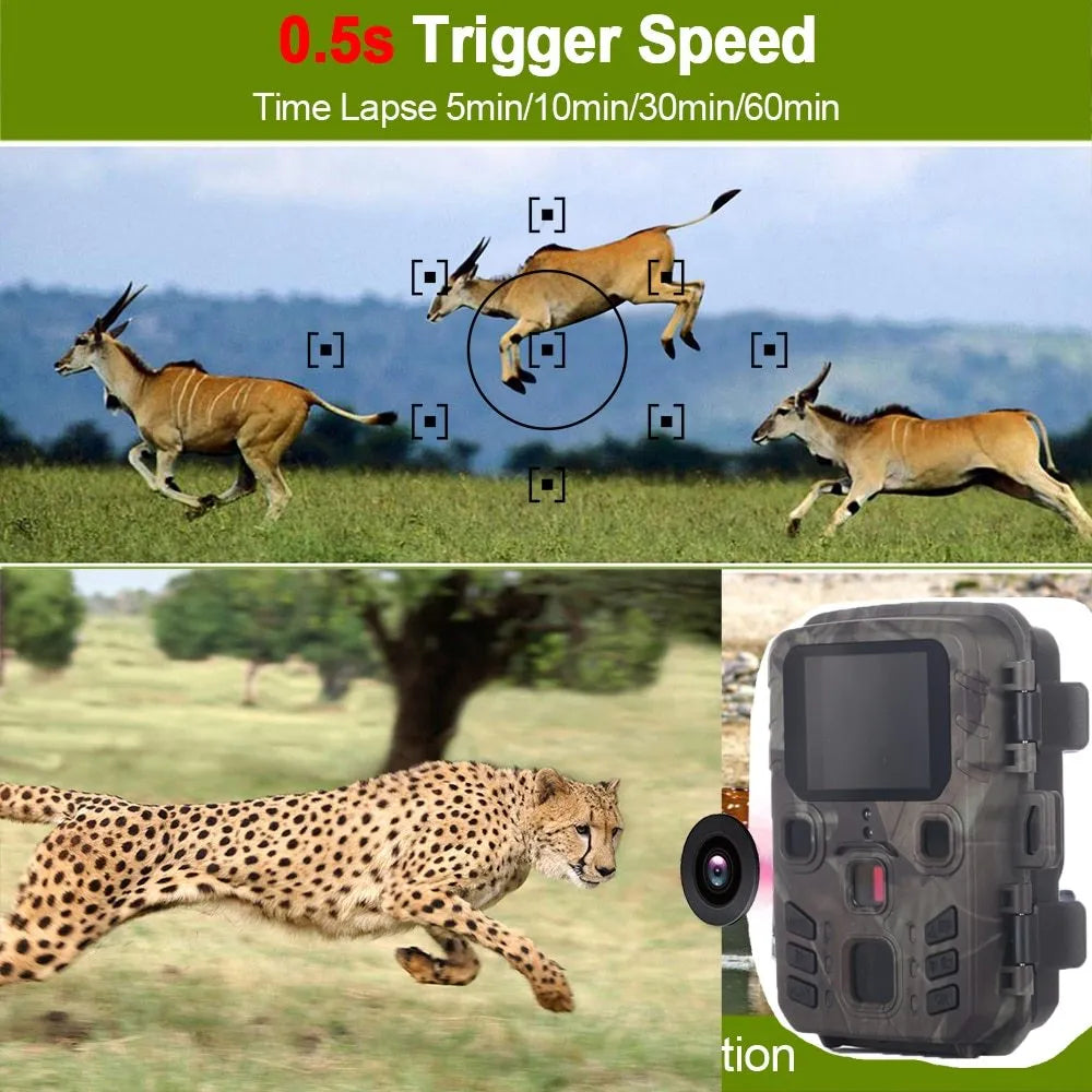 Black infrared night vision monitoring device with TF card slot and 12 megapixel sensor