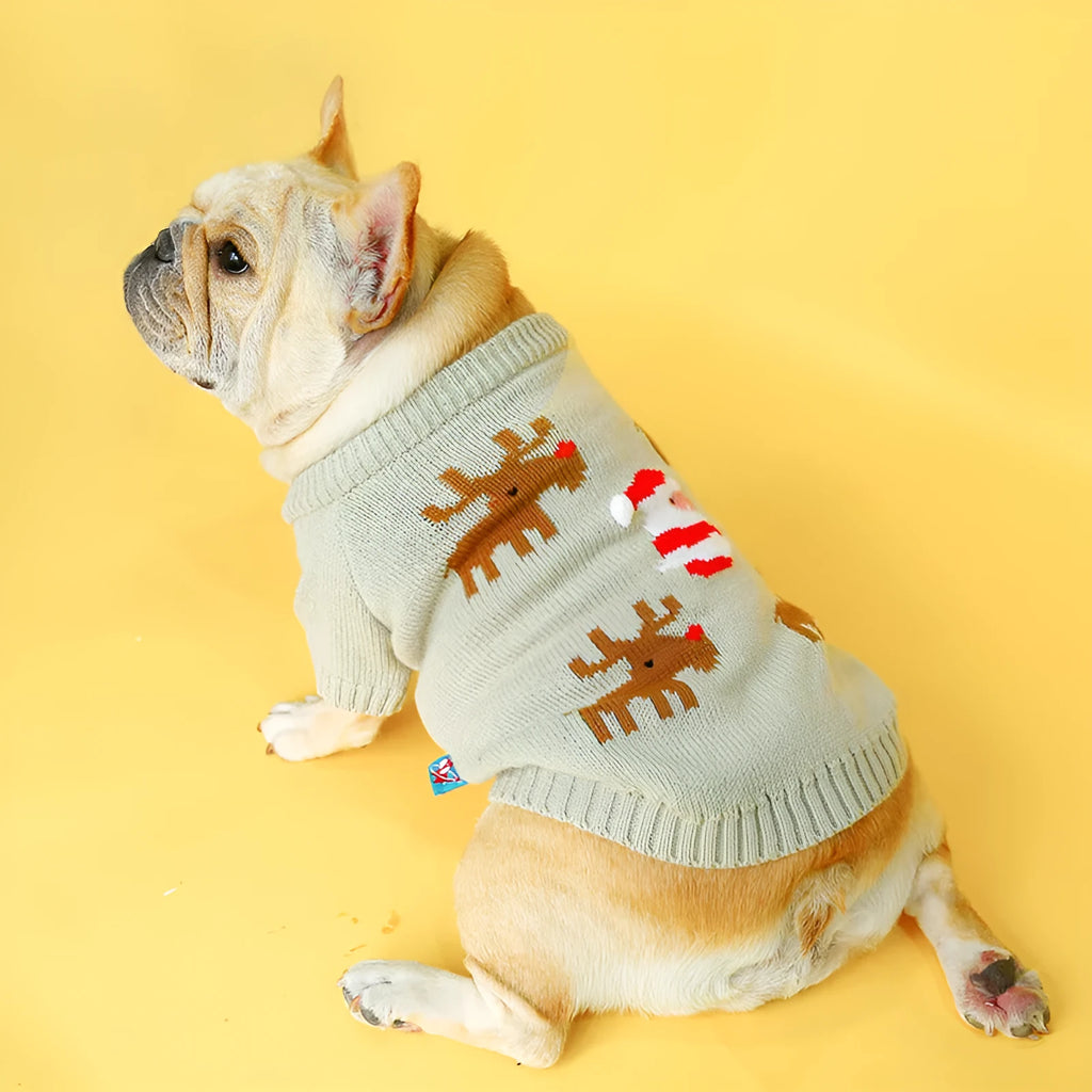 Grey acrylic pet Christmas sweater with elk pattern French style on a dog