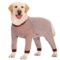 Sky blue striped polyester dog shirt on a thin Golden Retriever, showing four-legged fit.