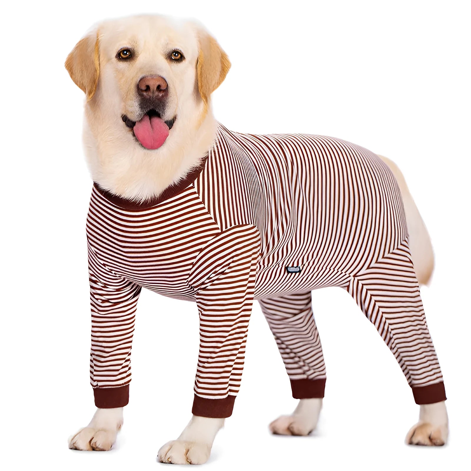 Sky blue striped polyester dog shirt on a thin Golden Retriever, showing four-legged fit.