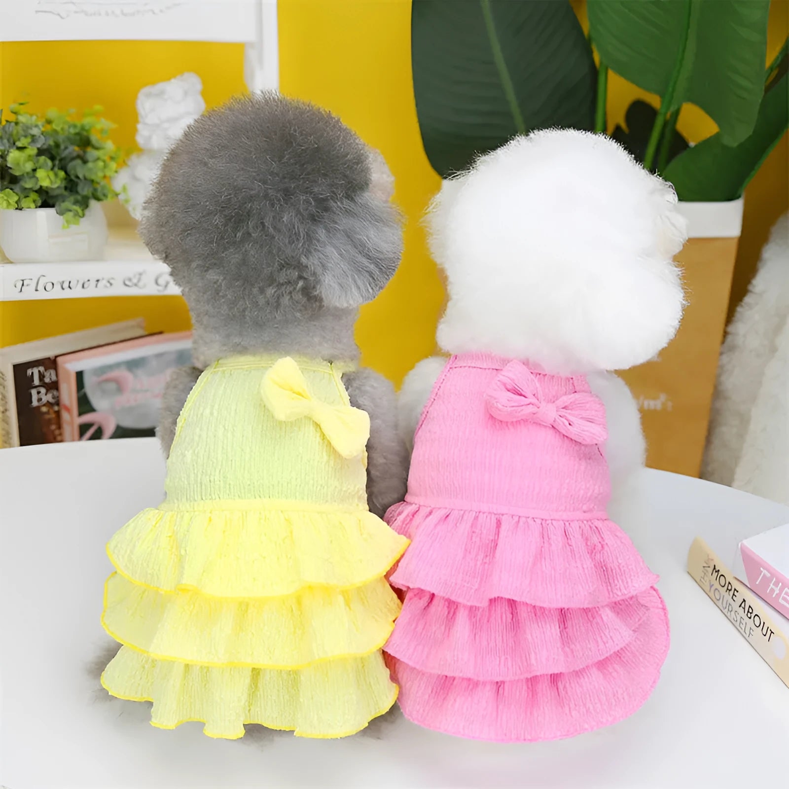 Small dog wearing princess dress with layered skirt in candy colour, suitable for thin teddy bichon breeds