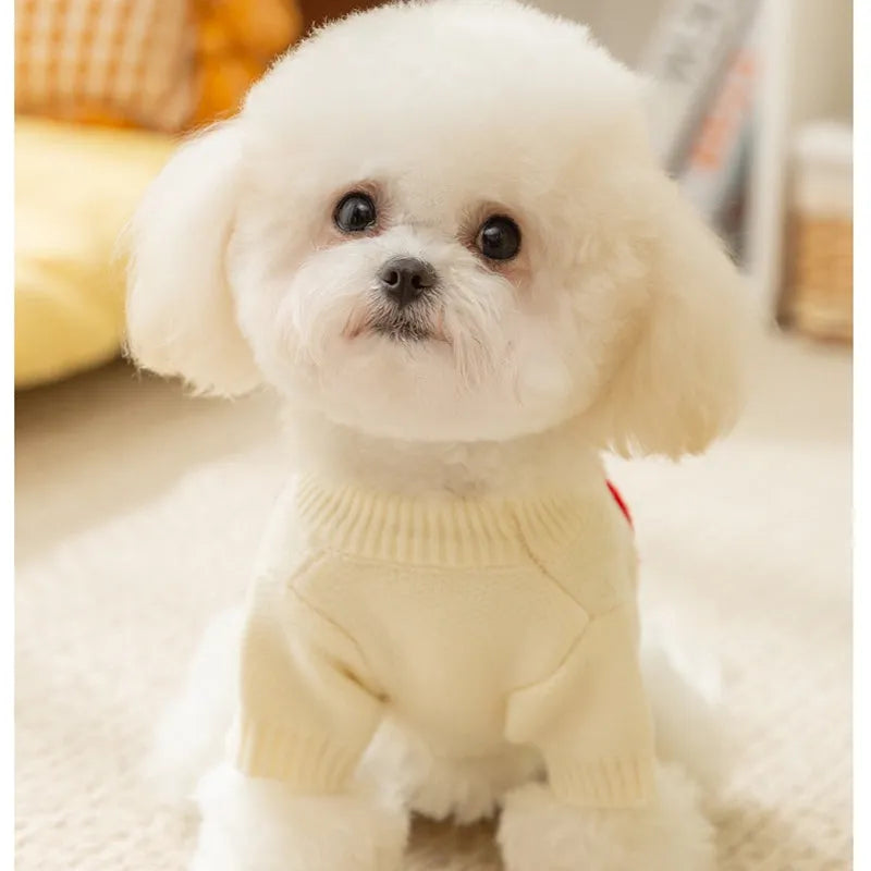 Knitted small dog sweater in white with multicolour Apple and smiley face embroidery