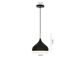 Modern single-head fishline pendant chandelier ceiling light with adjustable cable, shown in a grey finish.