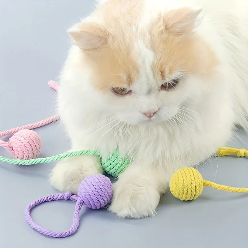 Cat toy ball with attached rope and bell in green, pink, purple or yellow colours showing 6cm and 3cm size comparison
