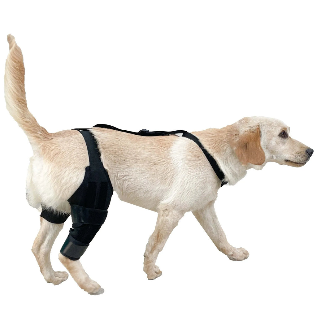 Adjustable dog leg protector knee brace with non-slip inner layer in size S M L for joint support