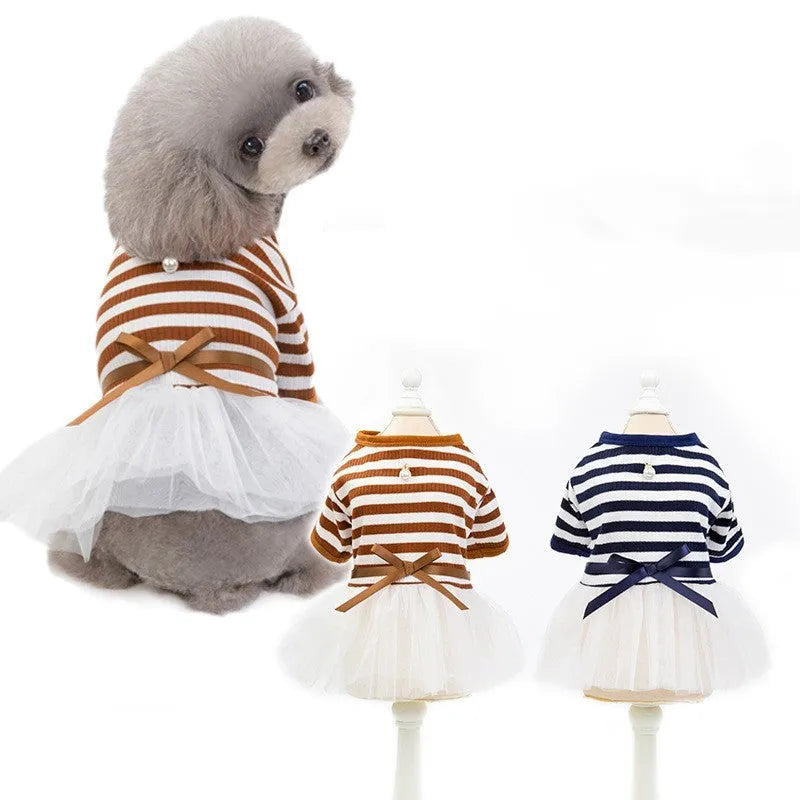 Bears Teddy cotton pet skirt for small female dogs in coffee colour