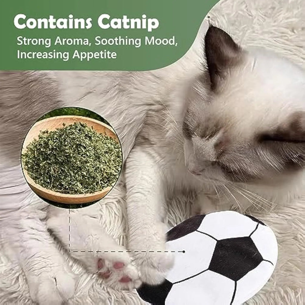 Plush cat flying disc toy with sports ball pattern, containing catnip and crinkle sound.