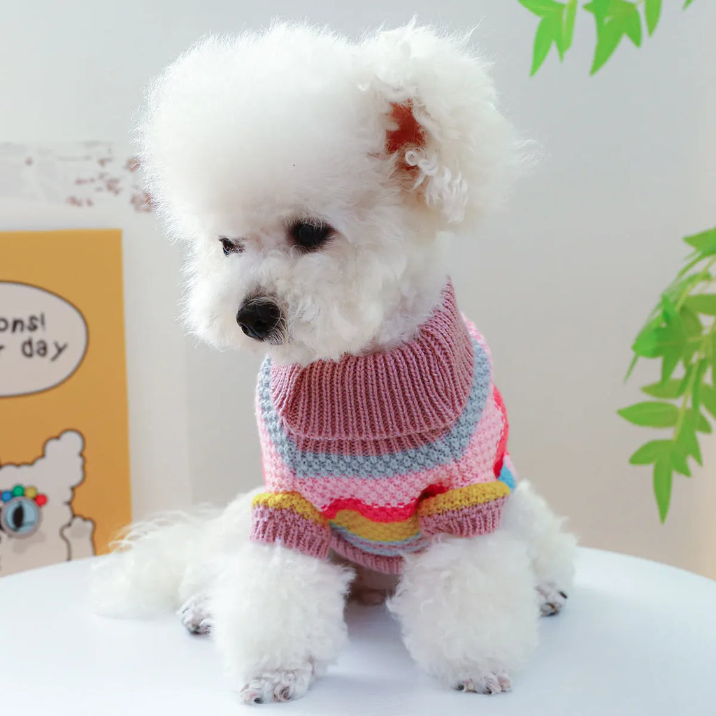 Colourful striped acrylic pet sweater for dogs and cats, five sizes XS to XL