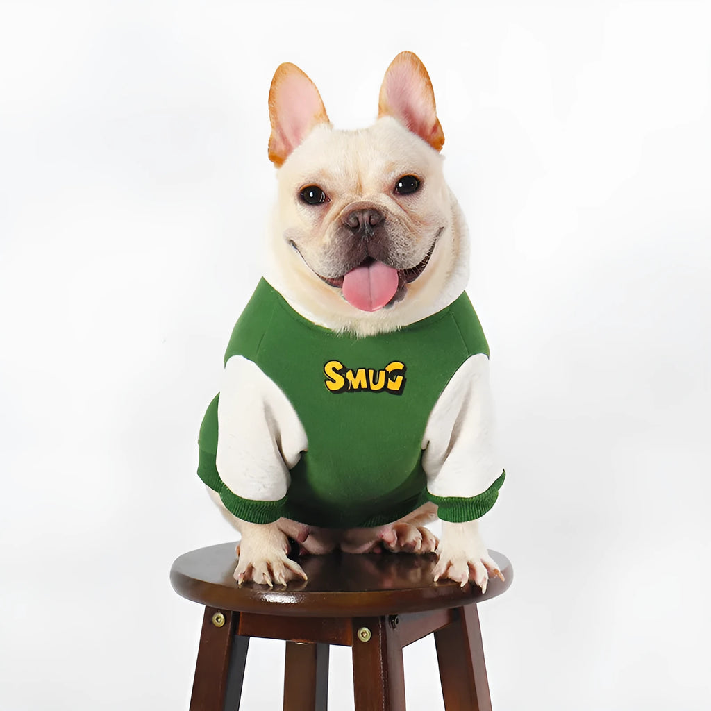 Green cotton dog coat for large dogs, sizes L to 4XL, for autumn and winter