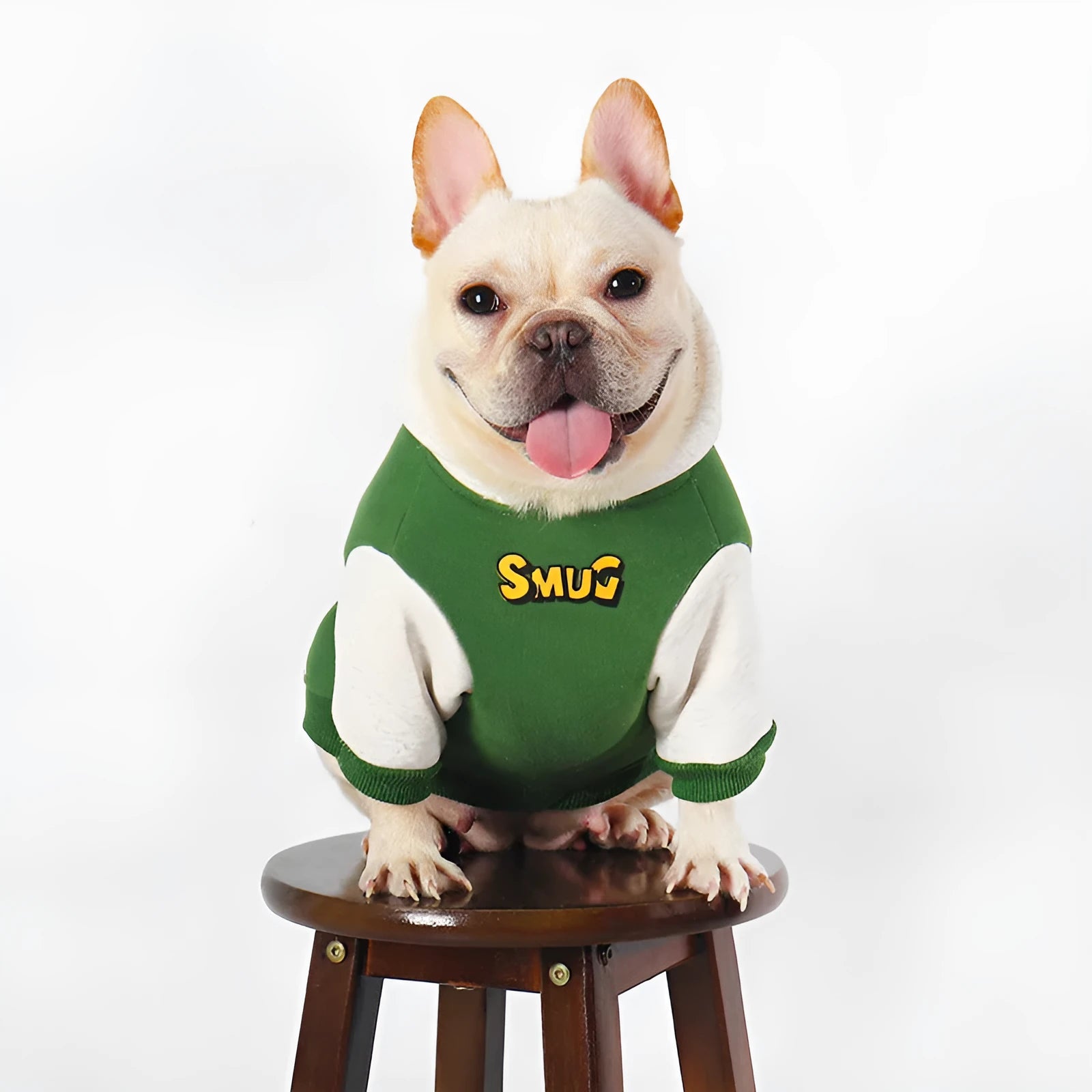 Green cotton dog coat for large dogs, sizes L to 4XL, for autumn and winter