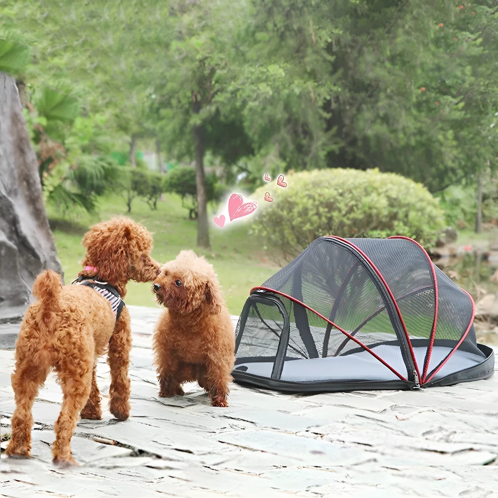 Portable folding cat tent with half mesh sides in black or blue colour options