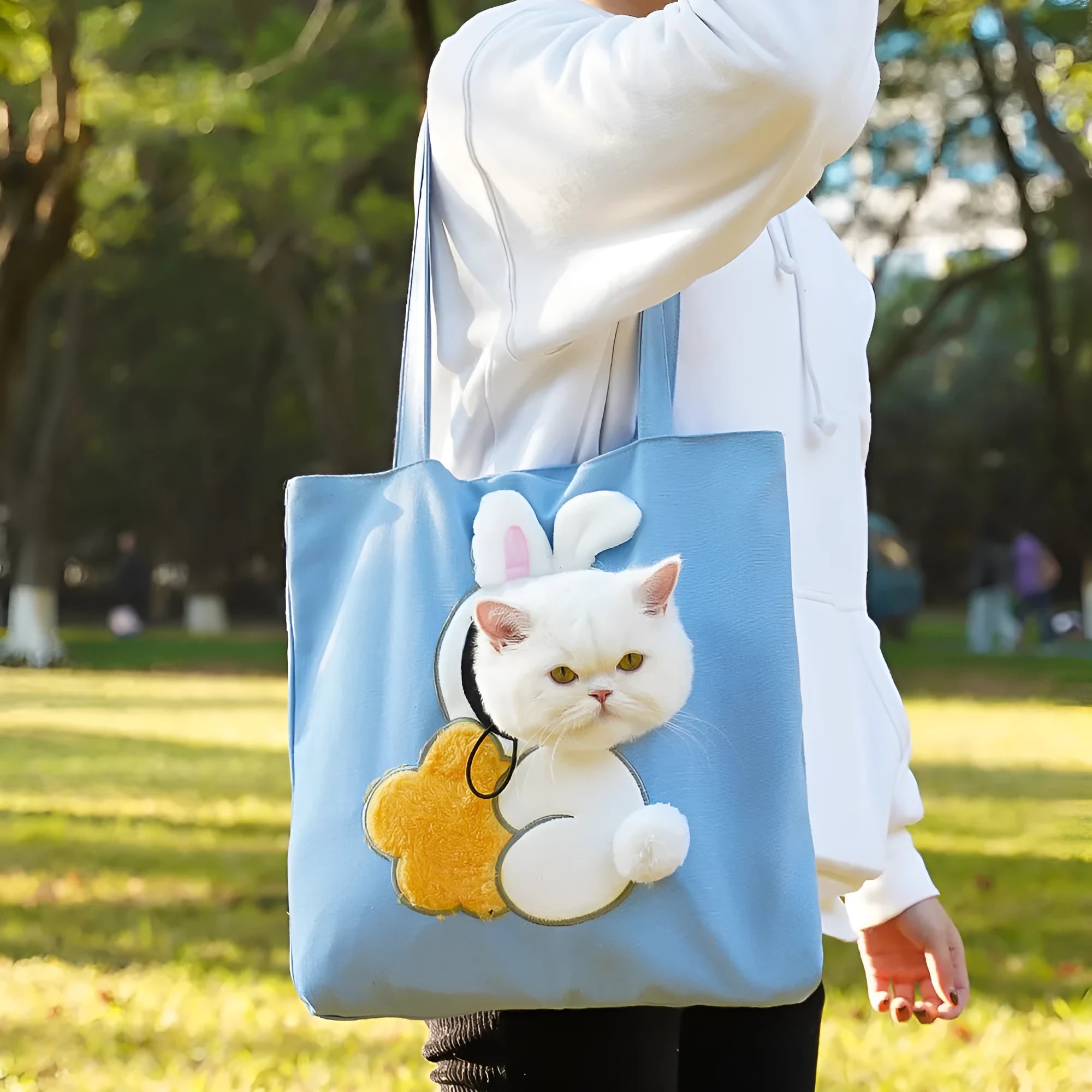 Canvas pet shoulder bag with cartoon pattern for small dog or cat transport
