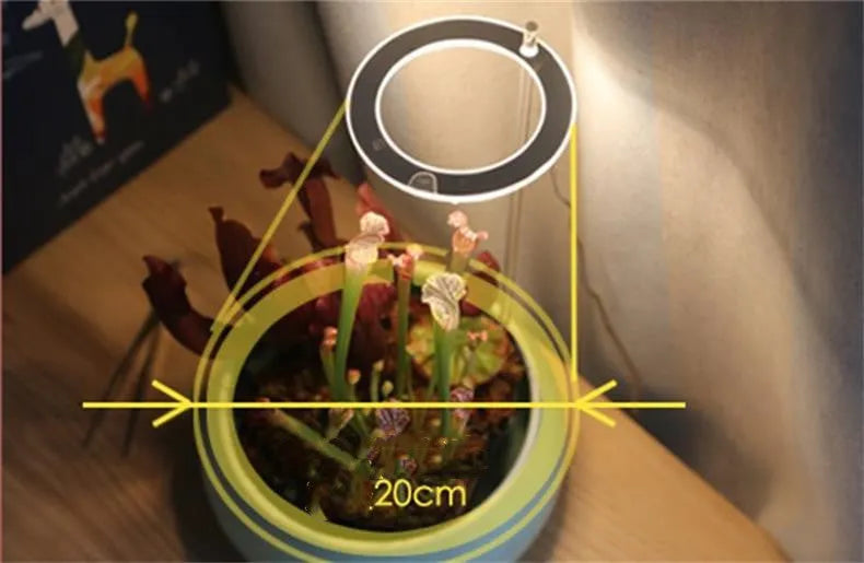 LED grow light with transparent housing and yellow LEDs mounted on acrylic stick