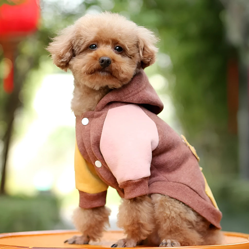 Brown cotton pet dog sweatshirt casual leisure wear garment