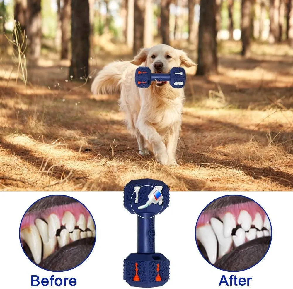 Blue hollow dumbbell-shaped dog chew toy with textured 3D surface particles.