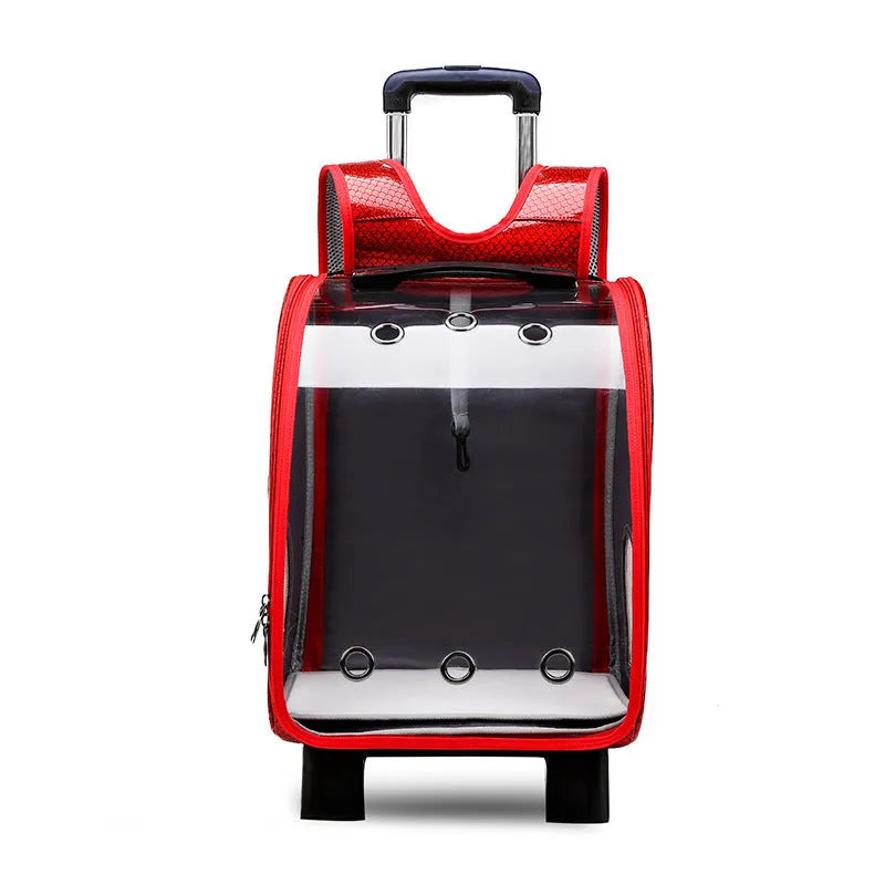 Transparent pet trolley carrier bag with shoulder strap in blue, pink, red, and yellow colour options.