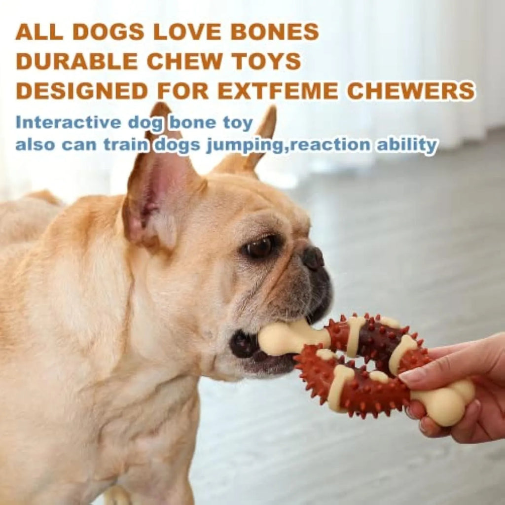 Natural rubber bone-shaped dog dental chew toy for teeth cleaning and anxiety relief