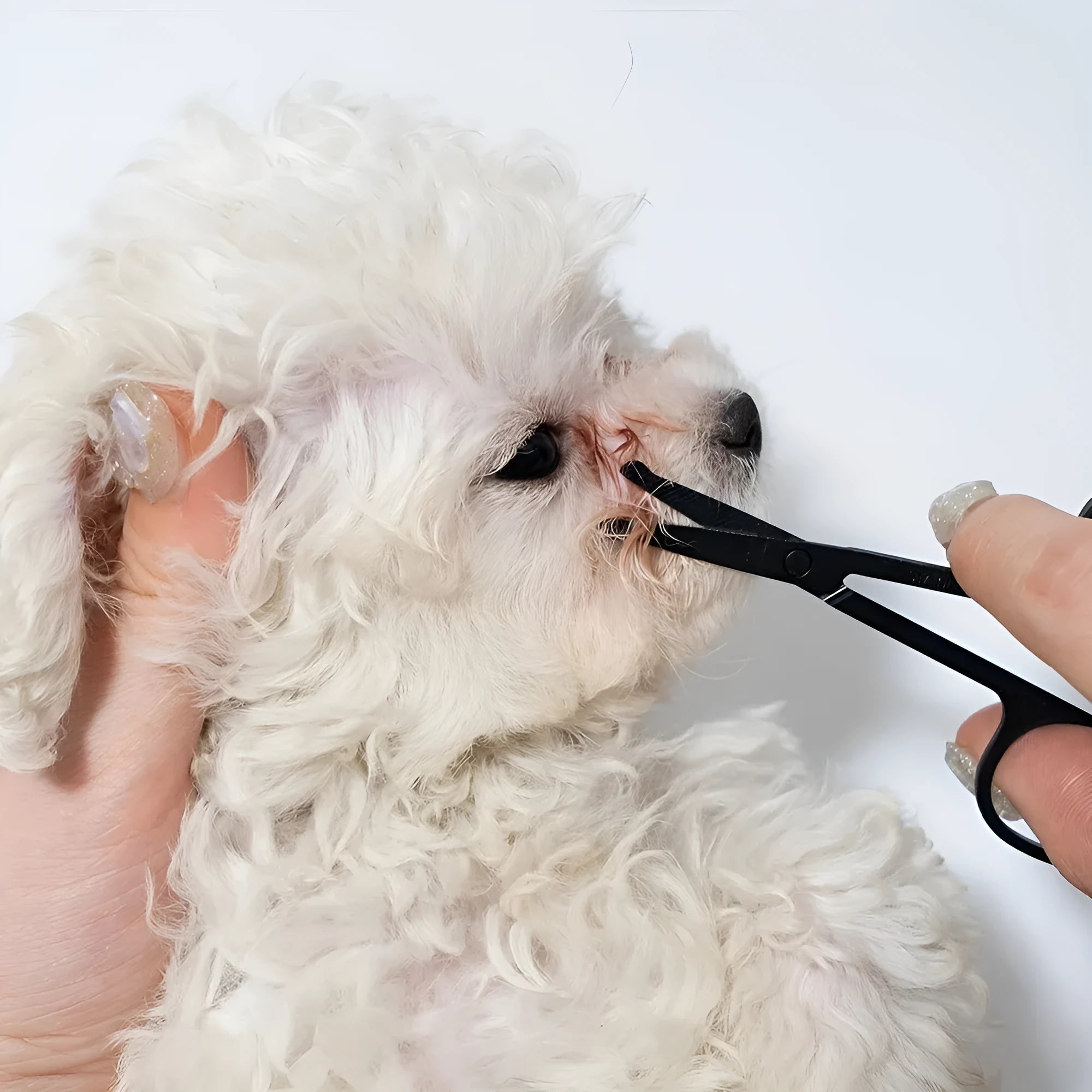 Black pet grooming brush with soft rubber bristles and stainless steel comb teeth for dogs and cats