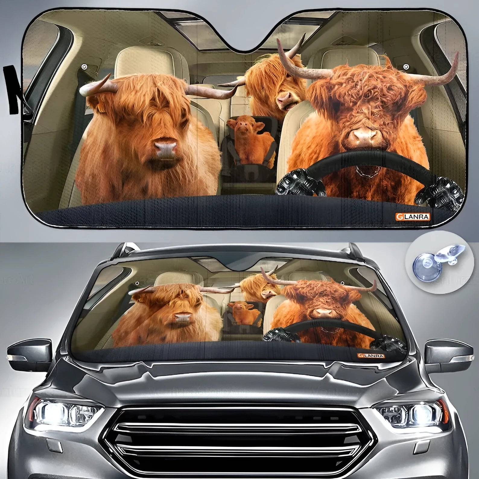 Aluminium foil telescopic car sun visor shown extended on a car windscreen.