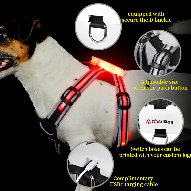 Nylon dog lead with multi-colour LED lights and a USB charging cable on a grey background