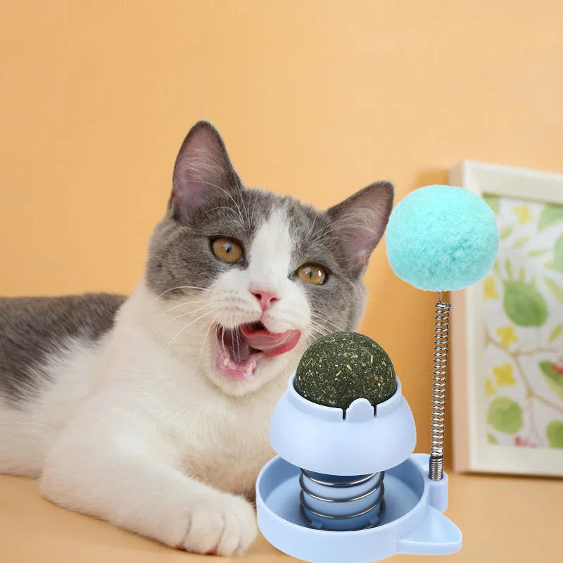 Blue lucky cat toy with 55mm music mint ball for feline self-play entertainment