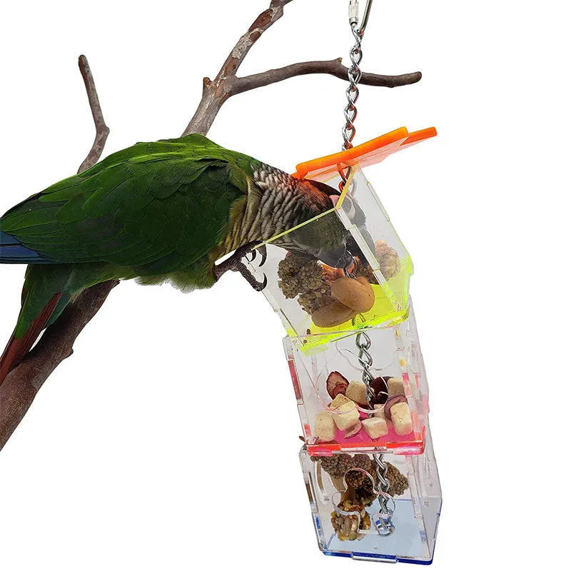 Clear acrylic bird foraging toy, 32cm long, for holding fruit and nuts.
